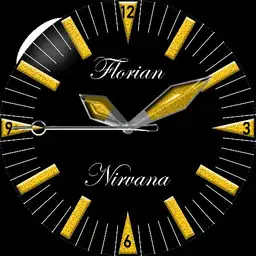 Flo watch 2