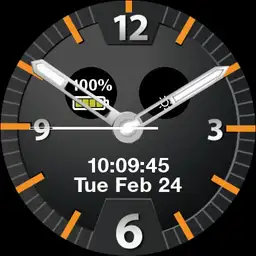 Luxury Watch