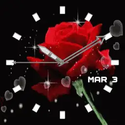 Rose 1