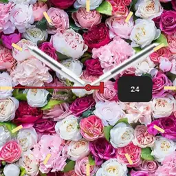 Roses