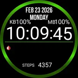 Blood Sugar watch