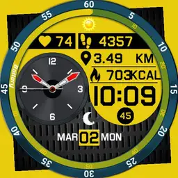 y. y. watch