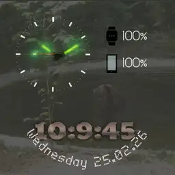 Bear-Watch