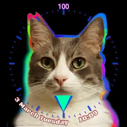 colorful cat boi