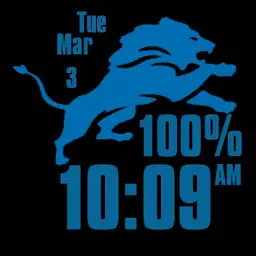 Detroit lions Copy