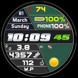 sportwatch