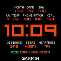 Garmin ST weather white