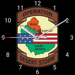 Desert Storm Badge