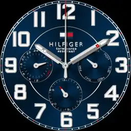 Tommy Hilfiger Trent 1791066 Copy
