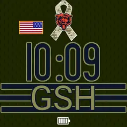 Bears Jersey Salute to Service 5