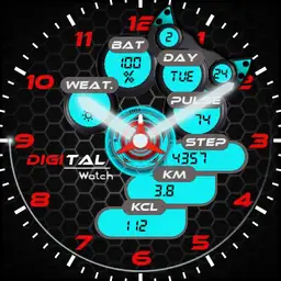 TS watch