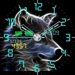 Wolf face