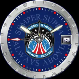 WDS US SPACE FORCE