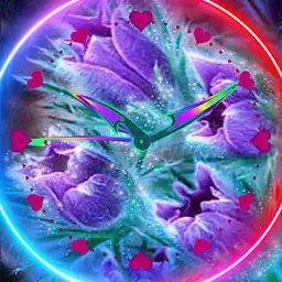 Purple Flowers