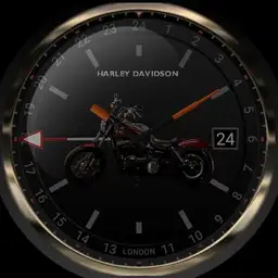 Harley Davidson 2