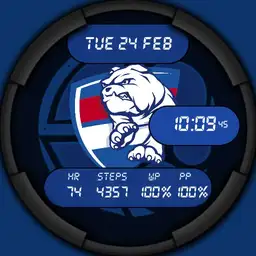 Western Bulldogs Test 24H
