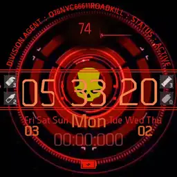 Division Agent New Rogue NO Skull Copy