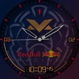 Bizzie Max Verstappen