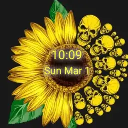 sunflower