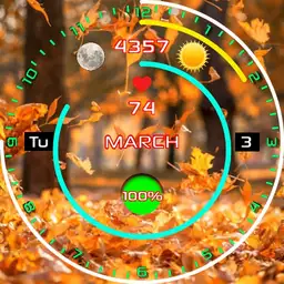 Signs of Fall v3