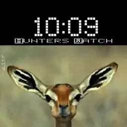 deer
