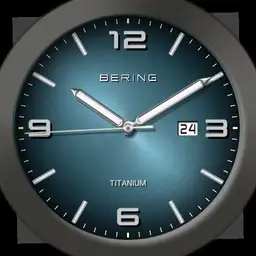 Bering 03