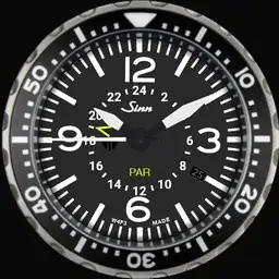 TG1986 Sinn world time bezel version