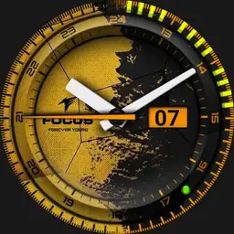 focus simple v1