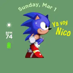 Sonic Nico
