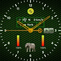 Elephant