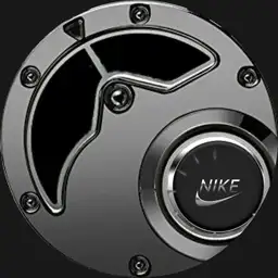 Nike chrome by nina