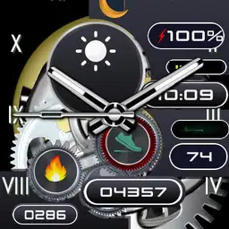 CABALLERO WATCH