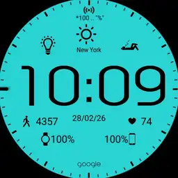 Ven_FinfoStats_LCD Copy