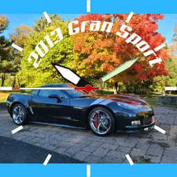 c6gs Copy
