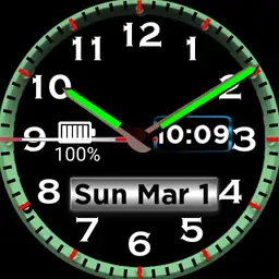 tesla watch