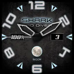 PVS Shark Slate Multi 3A