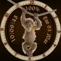 Monkey