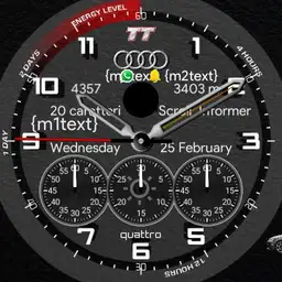 Audi TT 1.1.1 Fabio 102