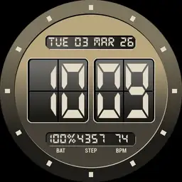 Brute DIGI Retro Digital Multi Info 02