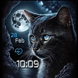 brit moon black cat