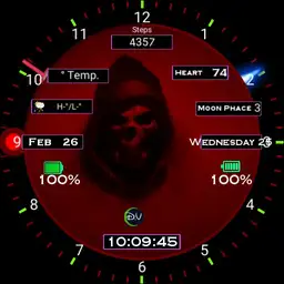 Skill watch