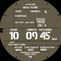 shadow company watch face