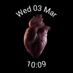 Heart