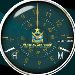 Falcons _ PAF
