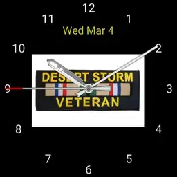 Desert Storm Veteran