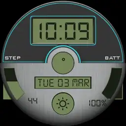brushed steel LCD
