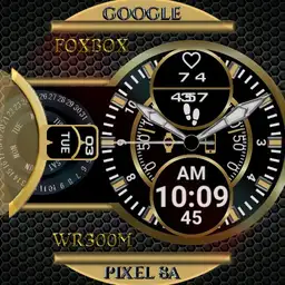 FoxBox watch