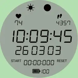 TS watch