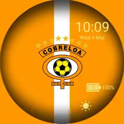 Cobreloa 2
