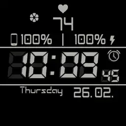 Aw003 LCD Inverse Multicolour